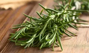 Ramitas de romero fresco sobre madera. El alcohol de romero propiedades medicinales y aromáticas lo hacen ideal para infusiones y remedios caseros.