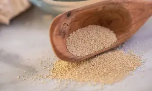 Cucharón de madera con levadura de cerveza, ideal para panadería y repostería.