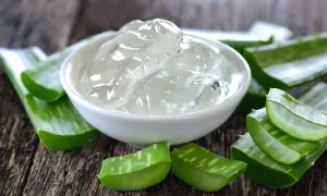 Gel de aloe vera en un cuenco blanco rodeado de trozos de la planta. Descubre cómo usar aloe vera planta como usar para tu piel.