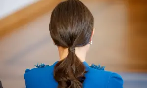 Coleta baja y pulida, ideal para lucir unos peinados de Navidad elegantes y sencillos.