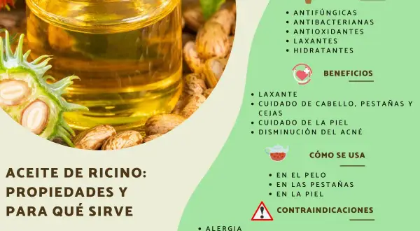 Aceite de ricino: sus propiedades antifúngicas, antibacterianas e hidratantes lo hacen ideal para el cuidado del cabello, pestañas y piel.