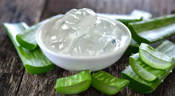 Gel de aloe vera en un cuenco blanco rodeado de trozos de la planta. Descubre cómo usar aloe vera planta como usar para tu piel.