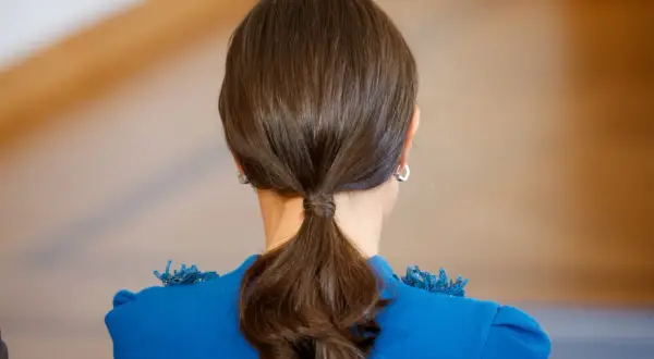 Coleta baja y pulida, ideal para lucir unos peinados de Navidad elegantes y sencillos.