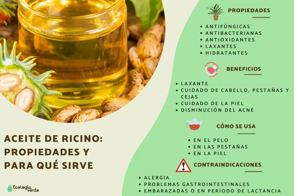 Aceite de ricino: sus propiedades antifúngicas, antibacterianas e hidratantes lo hacen ideal para el cuidado del cabello, pestañas y piel.