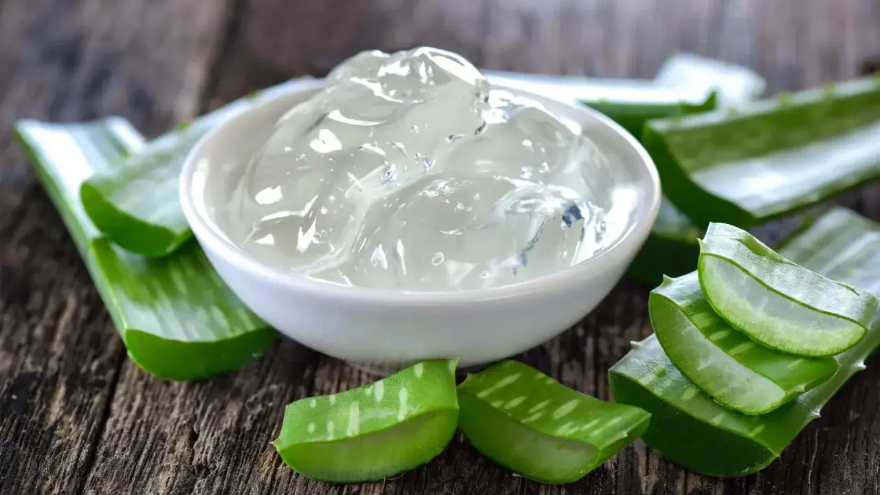 Gel de aloe vera en un cuenco blanco rodeado de trozos de la planta. Descubre cómo usar aloe vera planta como usar para tu piel.