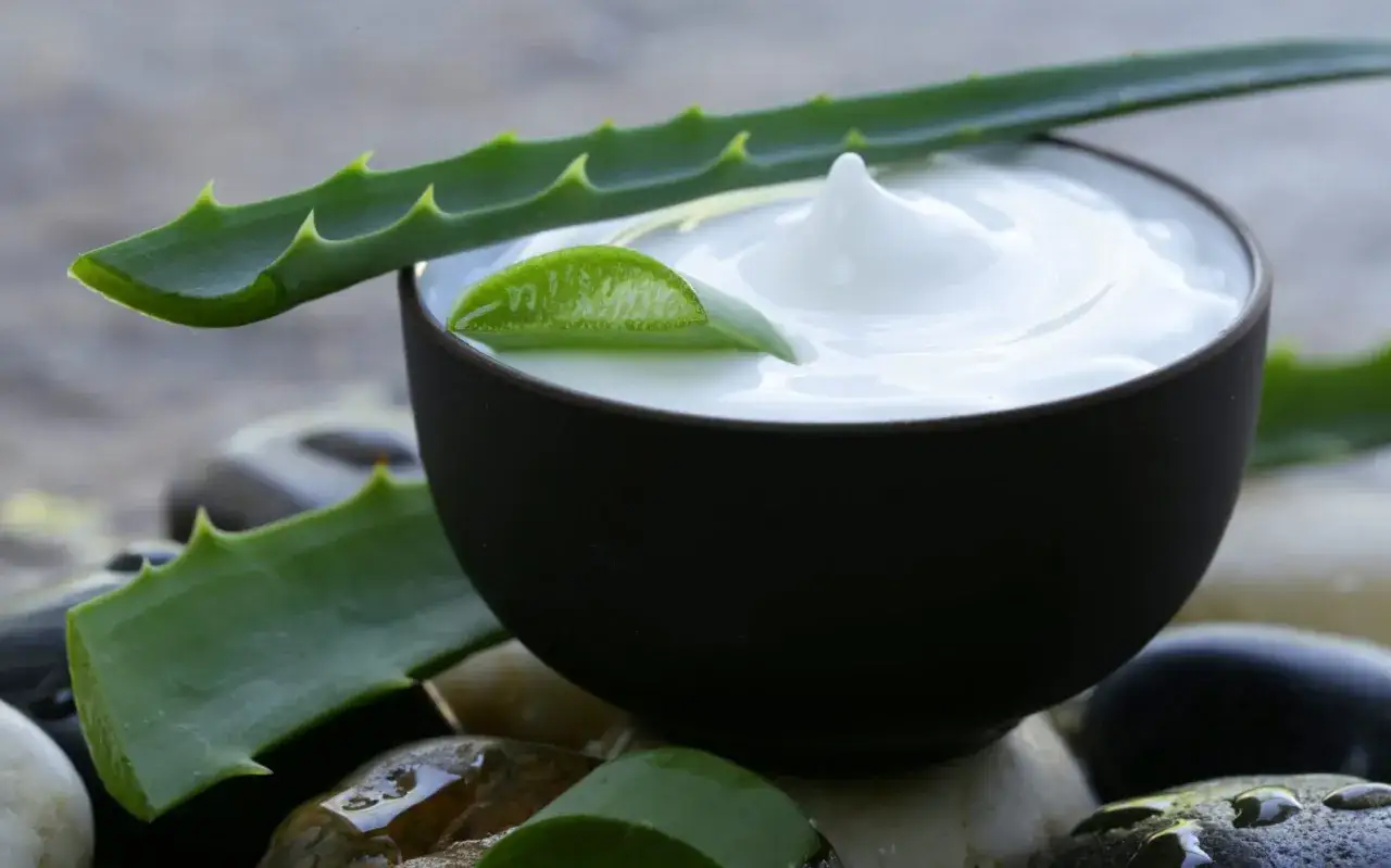Crema blanca y suave en un cuenco oscuro, decorada con hojas de aloe vera. La aloe vera cosmetica es ideal para el cuidado de la piel.