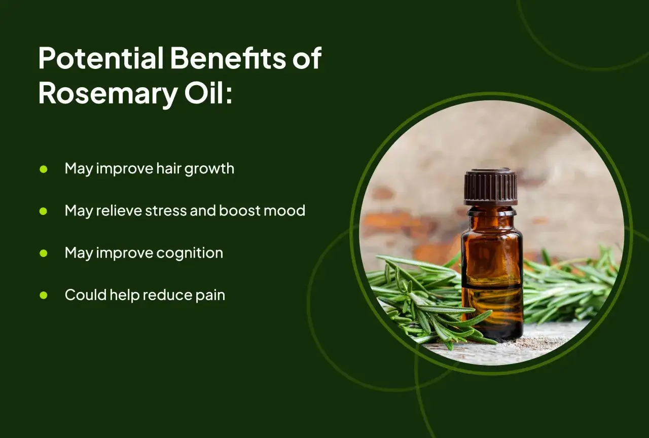 Aceite de romero para que sirve: mejora el crecimiento del cabello, alivia el estr&eacute;s, mejora la cognici&oacute;n y reduce el dolor.