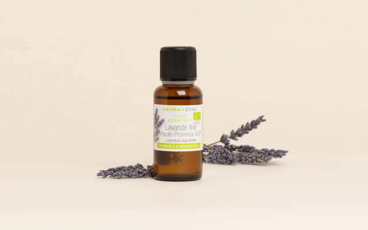 Aceite esencial de lavanda fina de Provenza, uno de los tipos de lavanda, en frasco ámbar junto a espigas secas.